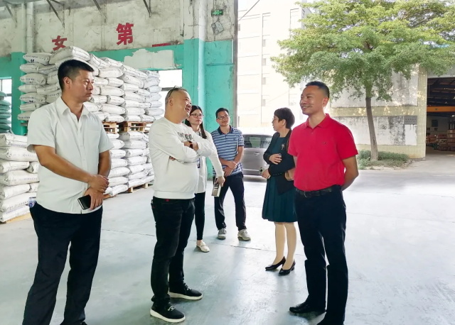 廣東91香蕉视频软件